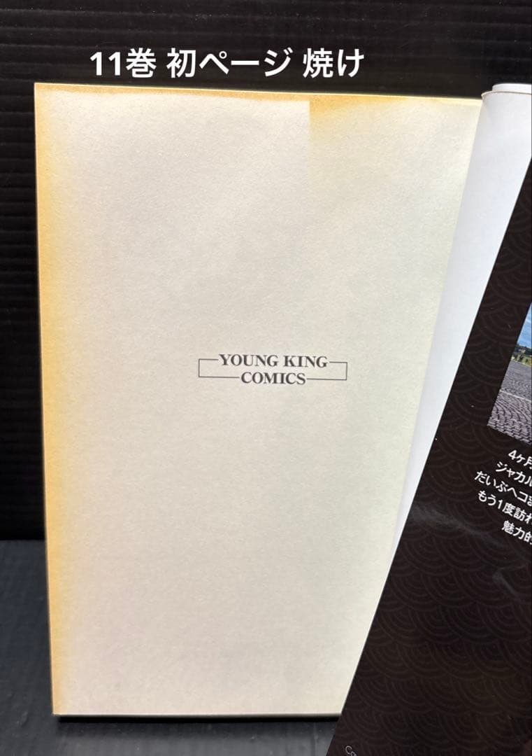 ドンケツ 8-28巻 第2章 全巻 1-14巻 全35冊