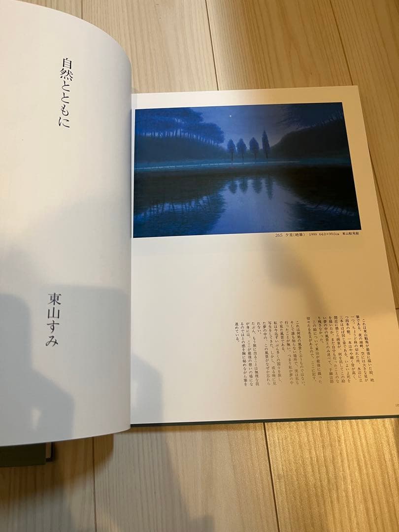 東山魁夷 風景との解逅