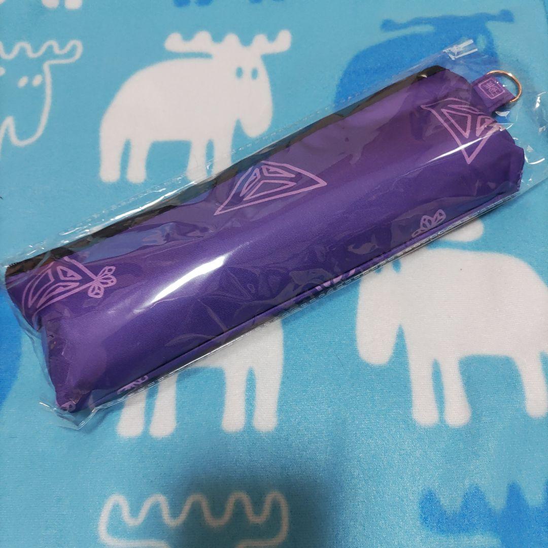 堂本剛 平安神宮奉納演奏2025 日傘