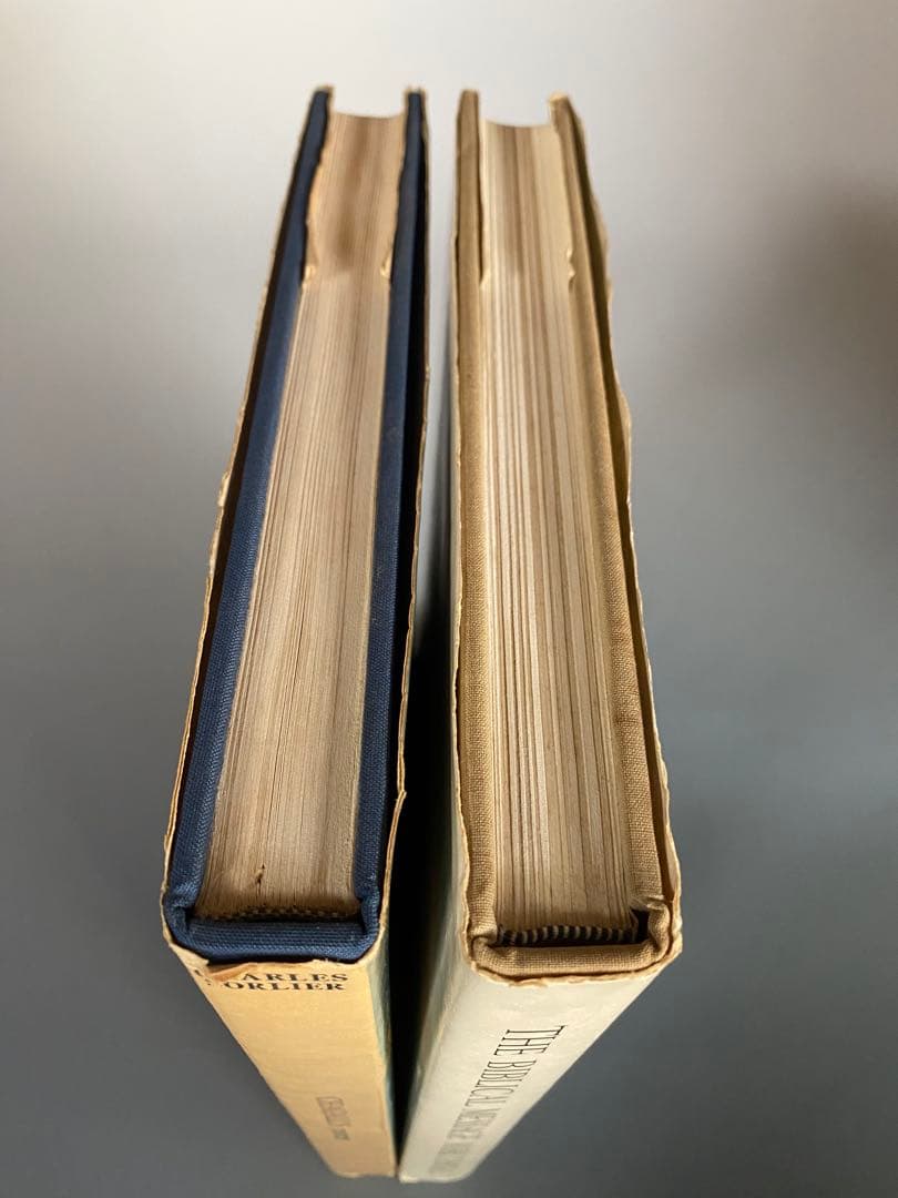 洋書シャガール　2冊