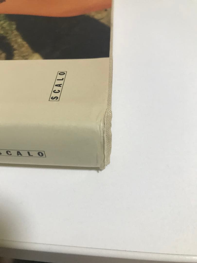 William Eggleston ウィリアム・エグルストン