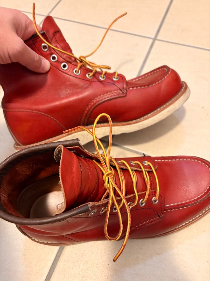 レッドウイング　犬タグ　8875 E 26センチ