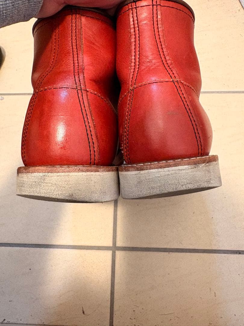 レッドウイング　犬タグ　8875 E 26センチ