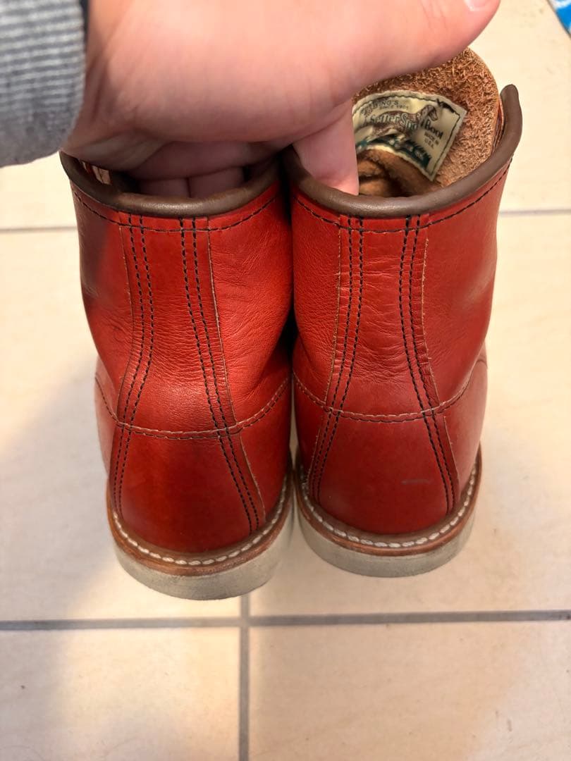 レッドウイング　犬タグ　8875 E 26センチ