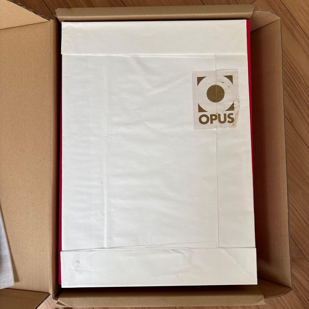 Michael Jackson OPUS 写真集