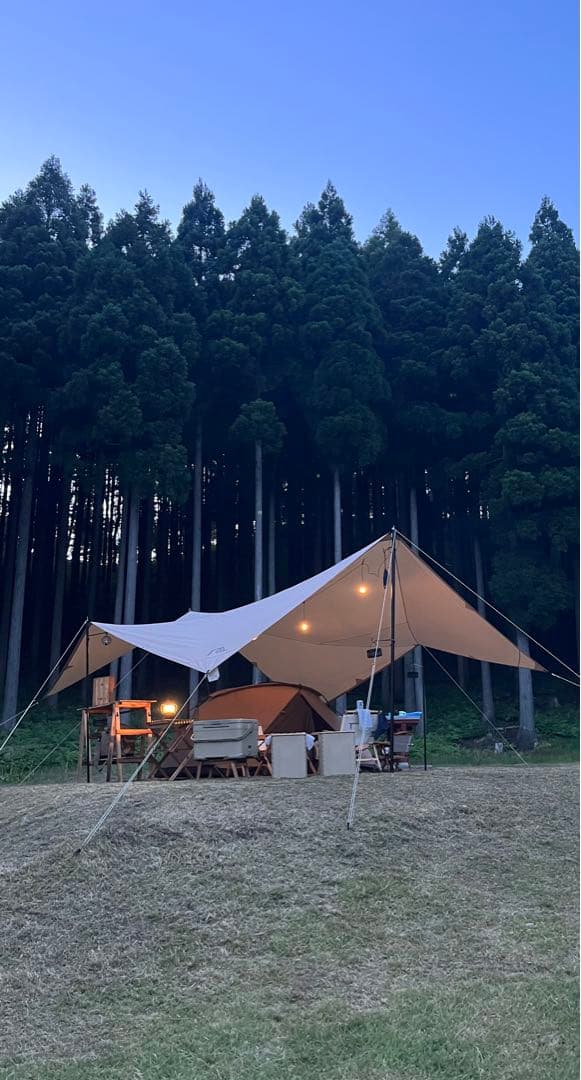 【最終タイムセール】新品未開封●SABBATICAL マリポサL⚫️送料込み