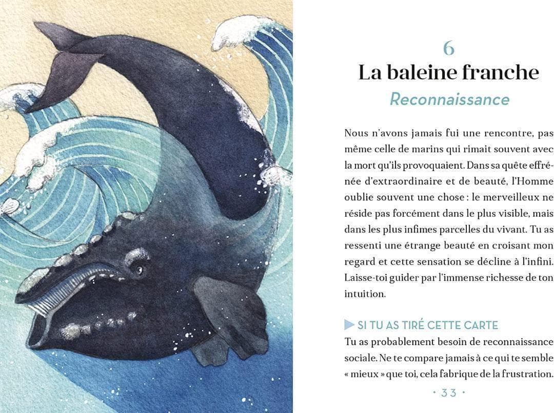 【正規品オラクルカード】水彩画の美麗イラスト✨イルカやクジラに会える海のデッキ