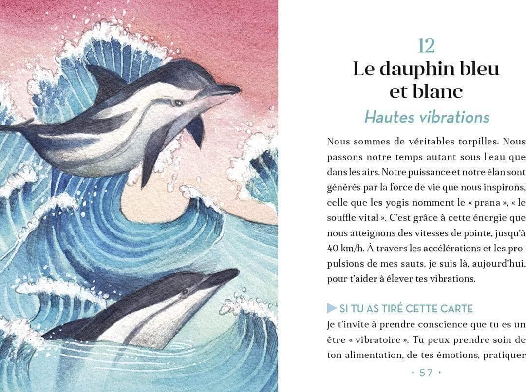 【正規品オラクルカード】水彩画の美麗イラスト✨イルカやクジラに会える海のデッキ