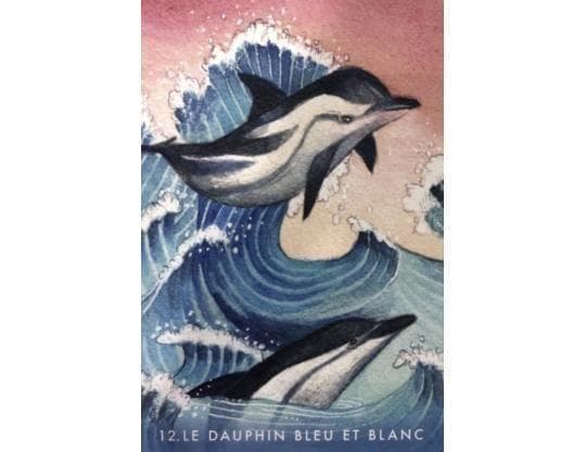 【正規品オラクルカード】水彩画の美麗イラスト✨イルカやクジラに会える海のデッキ