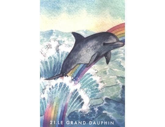 【正規品オラクルカード】水彩画の美麗イラスト✨イルカやクジラに会える海のデッキ