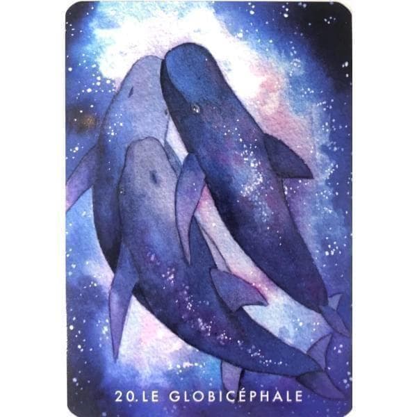 【正規品オラクルカード】水彩画の美麗イラスト✨イルカやクジラに会える海のデッキ