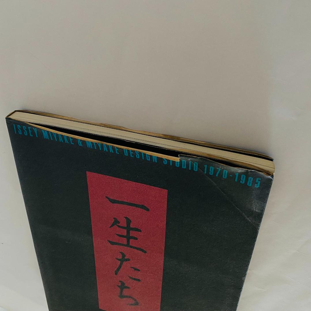 一生たち　ISSEY MIYAKE