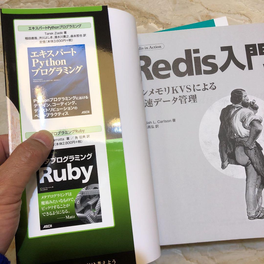 Redis入門 インメモリKVSによる高速データ管理