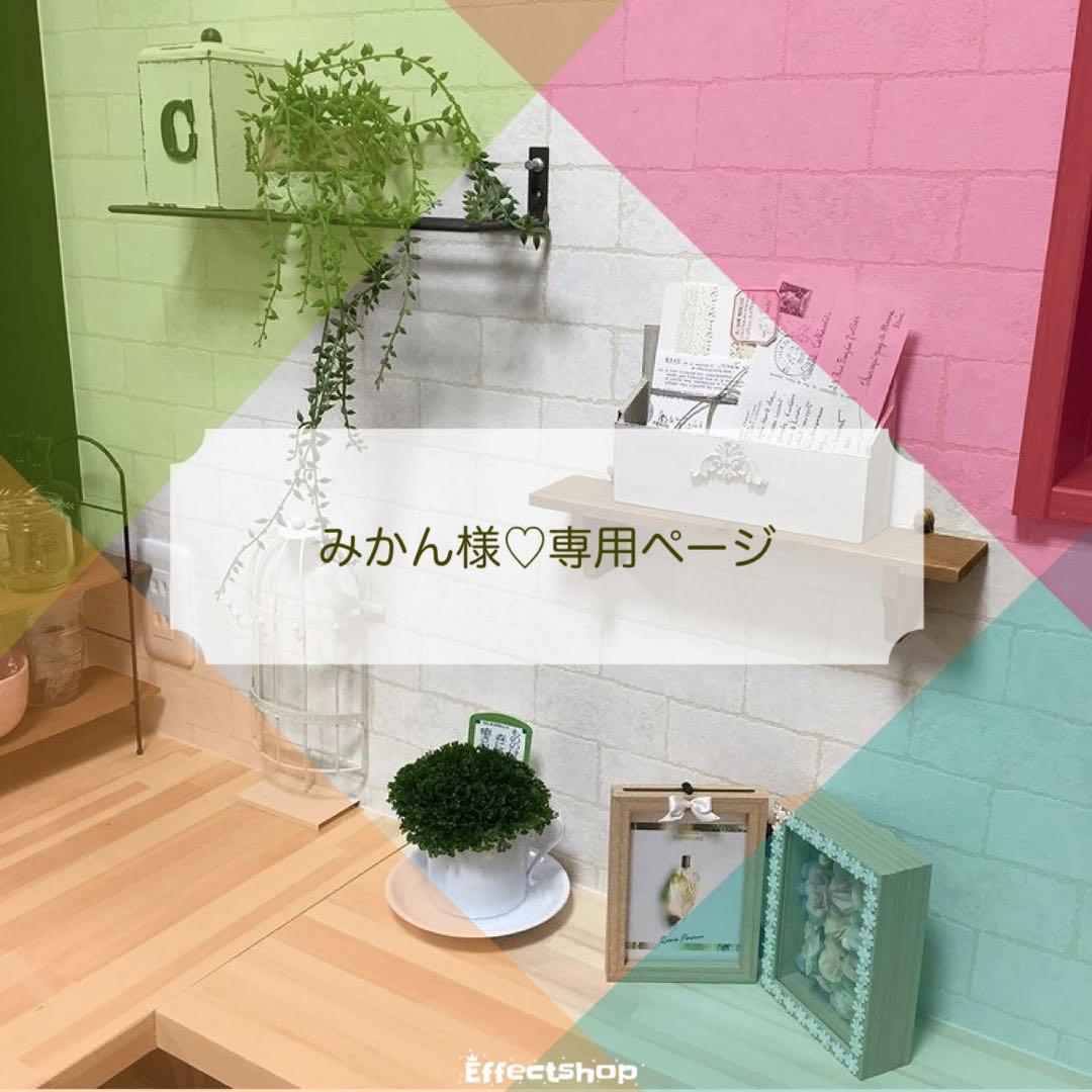 みかん様♡専用ページ