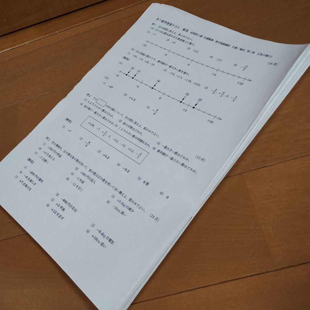 鉄緑会 中1数学 フルセット テキスト/問題集/各種テスト/重要プリントまとめて