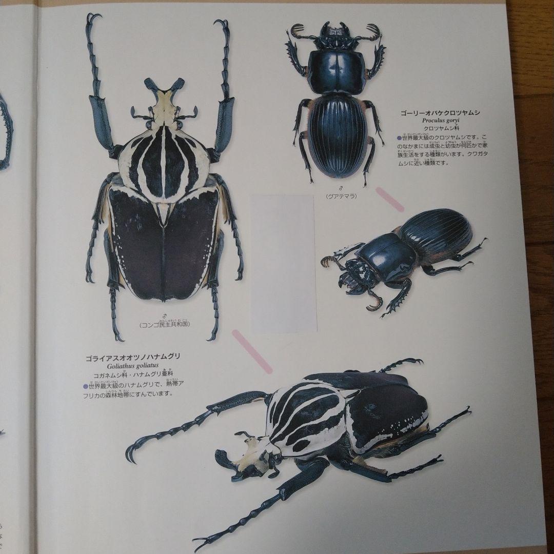 研究図鑑 全18巻セット