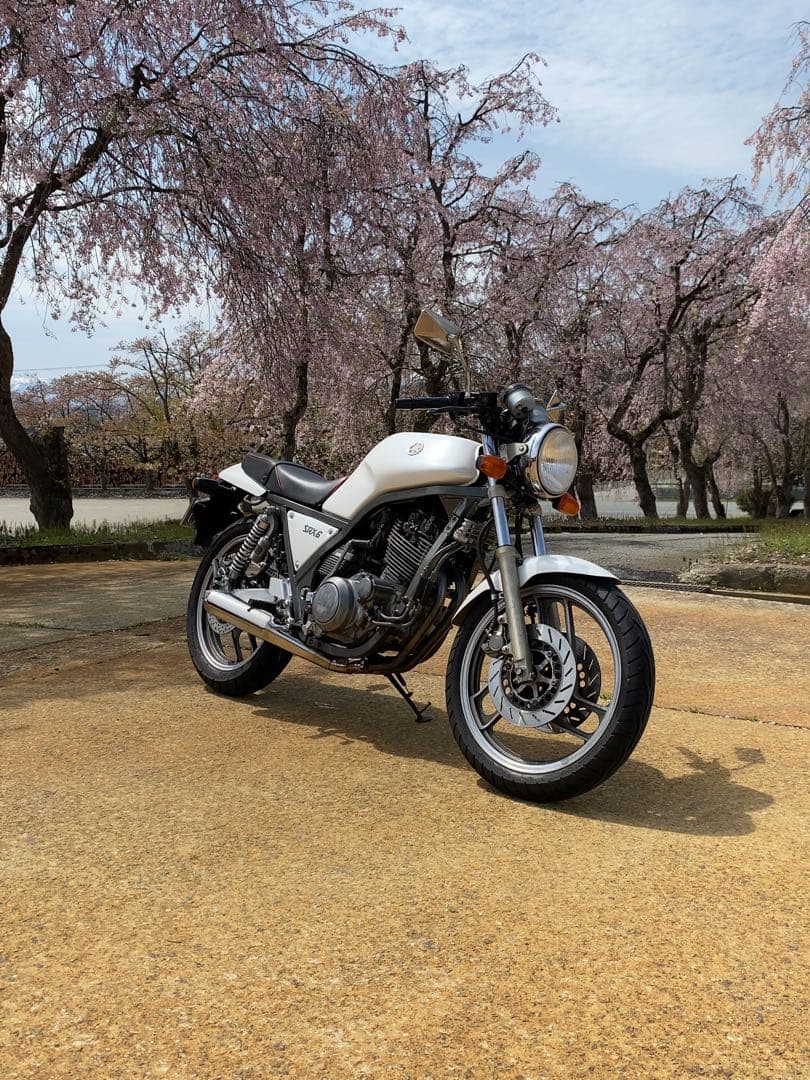 WMウェリントン製　マフラー