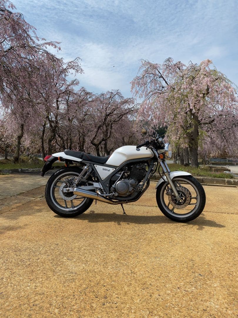 WMウェリントン製　マフラー