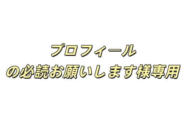 新品 Natal Design レトロストライプ　ファブリック カーミットチェア