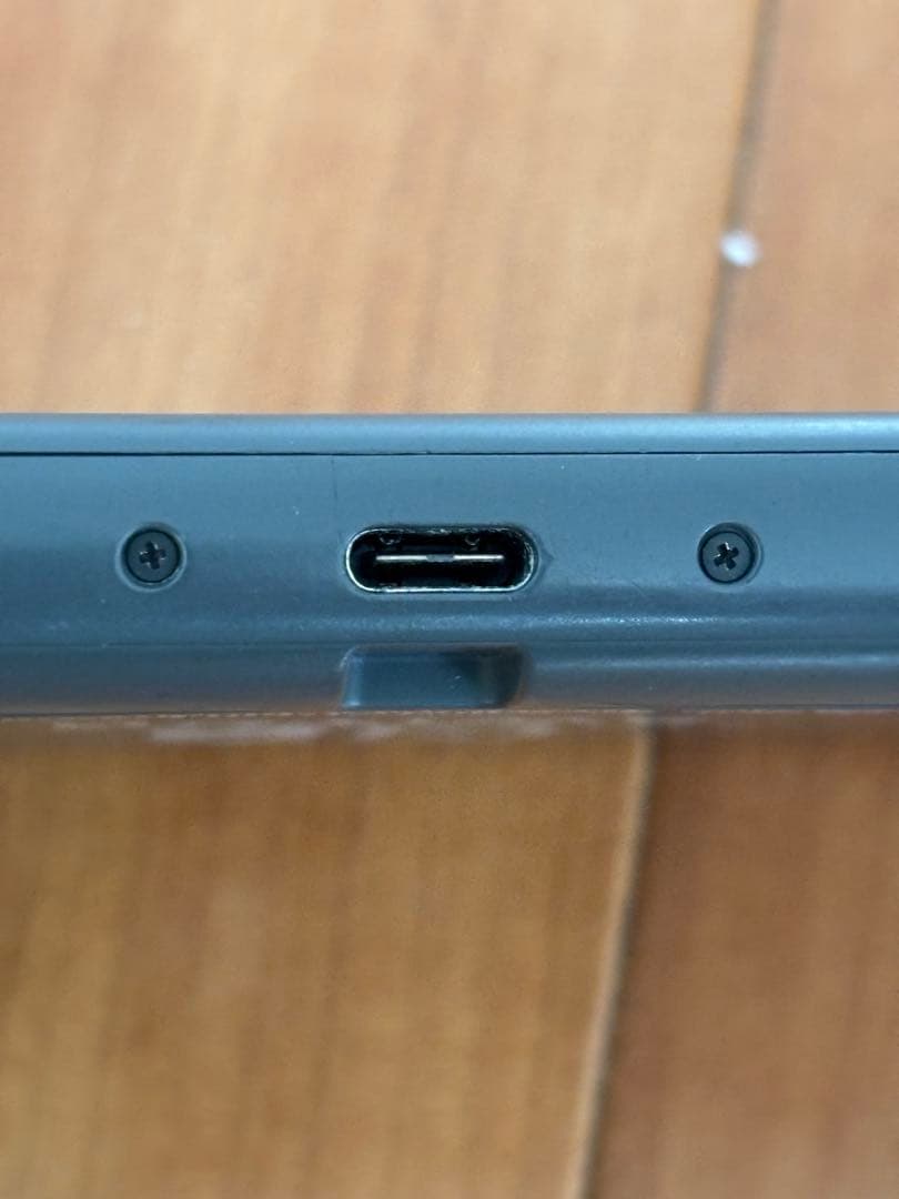 Nintendo Switch Lite グレー 本体　【ジャンク】ケース付き