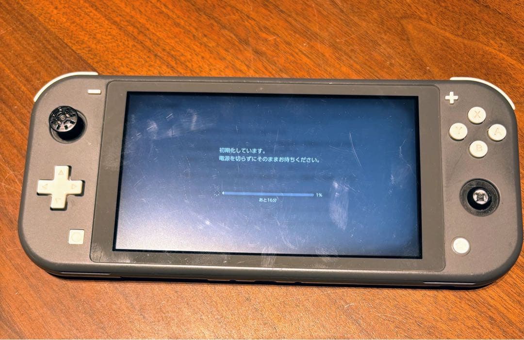 Nintendo Switch Lite グレー 本体　【ジャンク】ケース付き