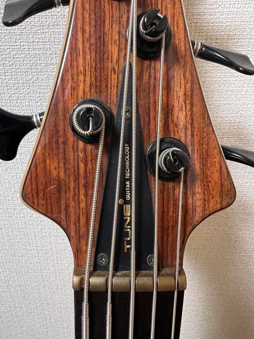 TUNE TS-365 / 5strings model 5弦フレットレスベース