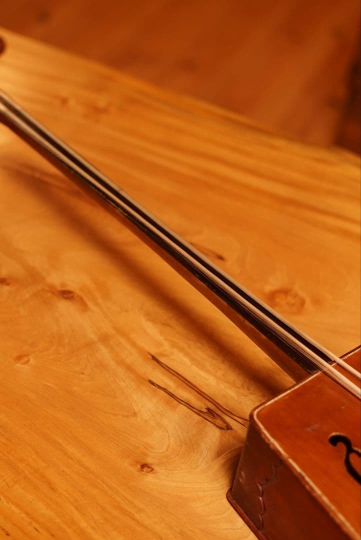 まる馬頭琴、蛇革琴