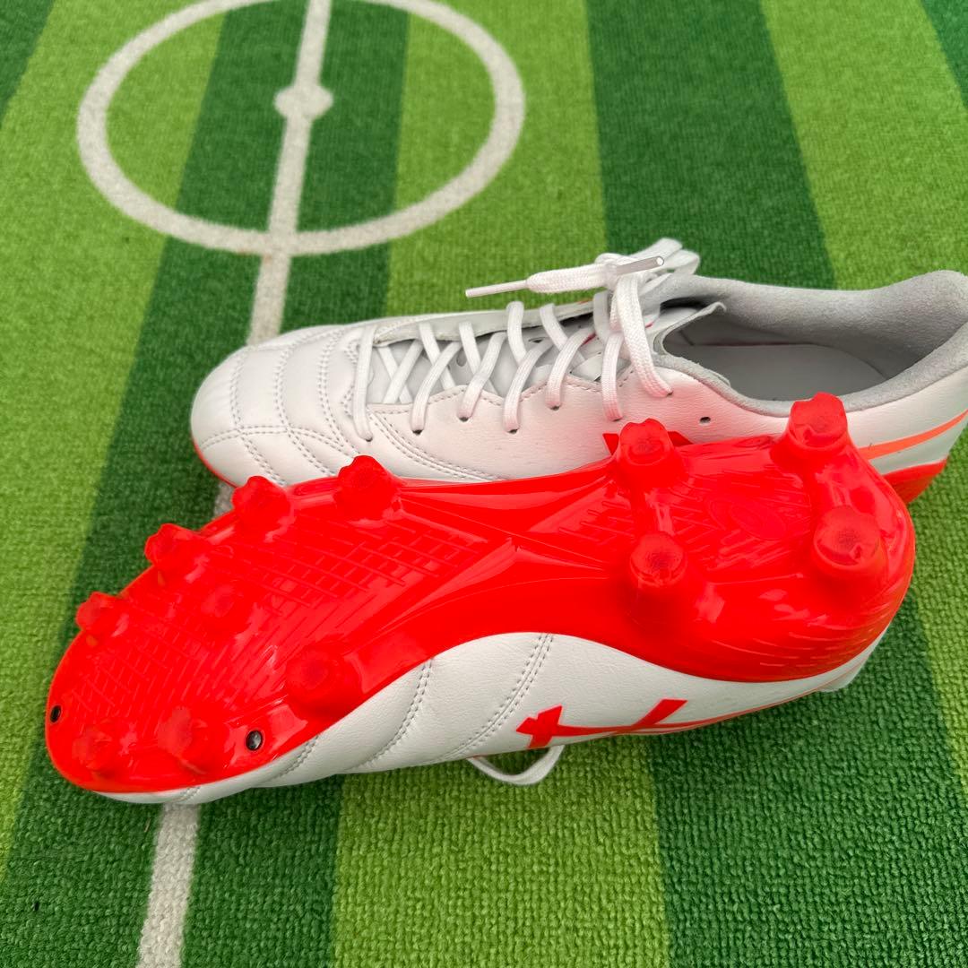 アシックスDS LIGHT X-FLY 6 25.5㎝