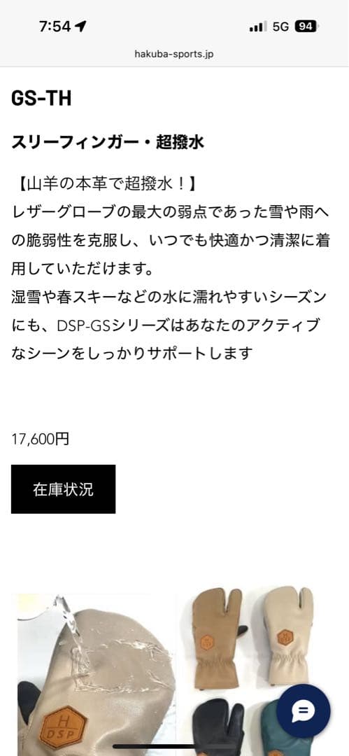 白馬村発ブランドDSP スキースノボ　グローブ　Lサイズ