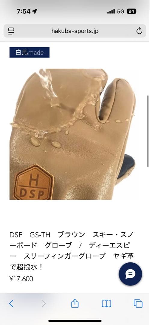 白馬村発ブランドDSP スキースノボ　グローブ　Lサイズ