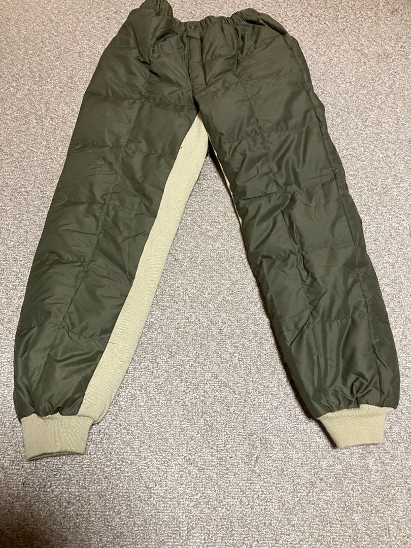 レアDaiwaダイワ フィッシングスーツ ダウンジャケット ダウンパンツ メンズ