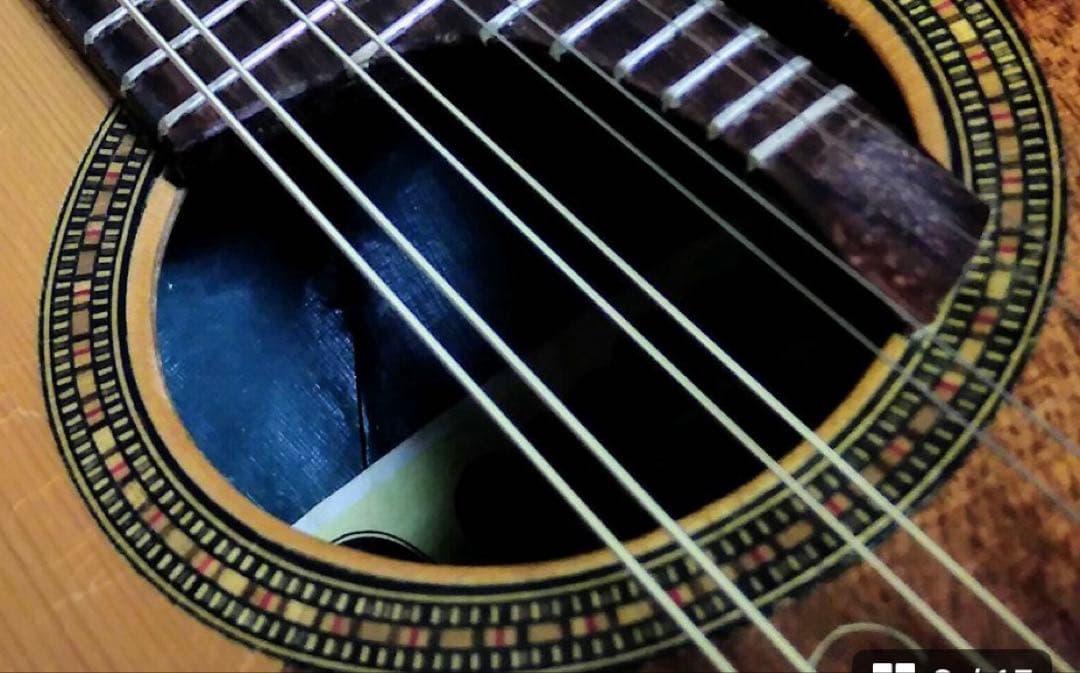 マンドリン ケース付き