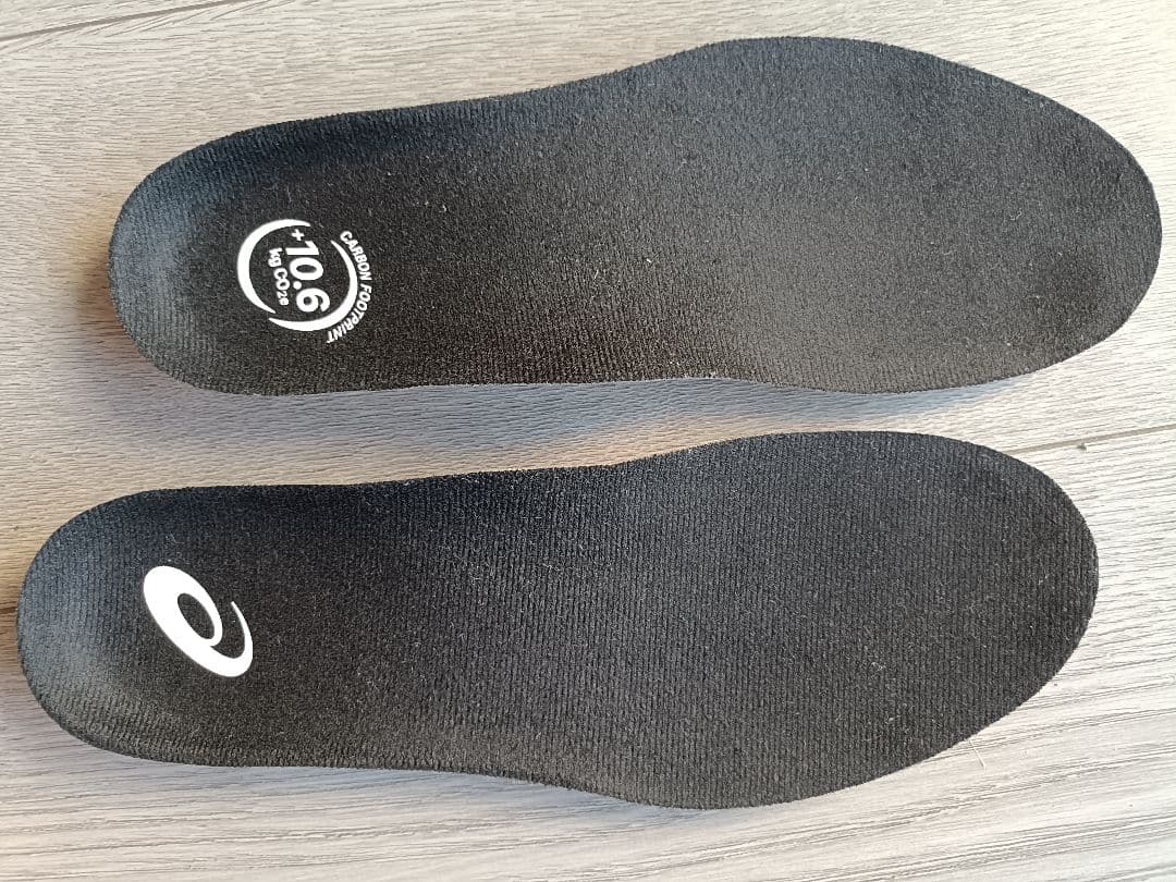 ASICS ゲルニンバス27 25cm GEL-NIMBUS 27