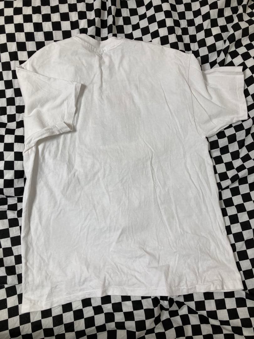 think skates Tシャツ santa cruz plan-b