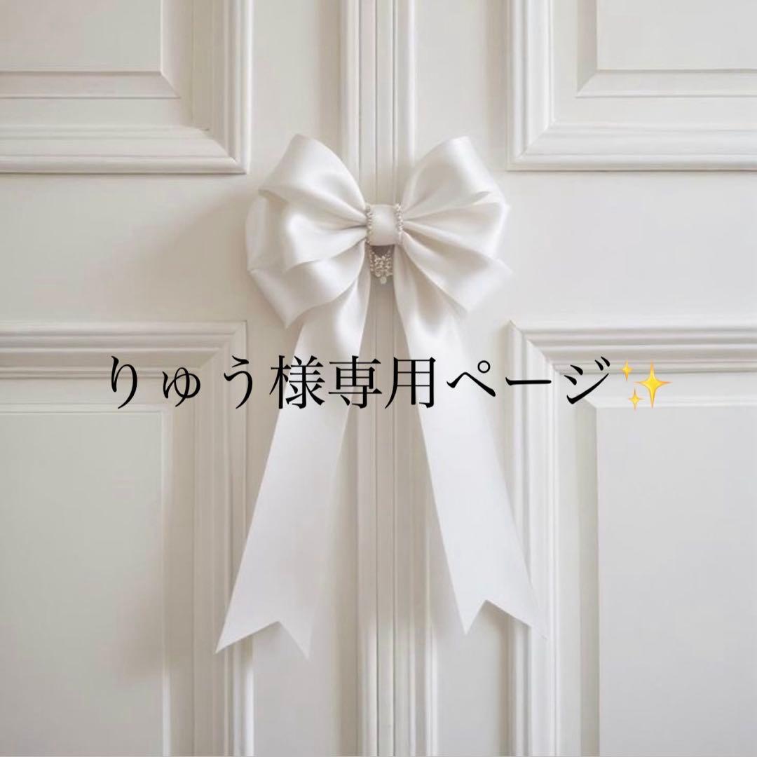 りゅうページ✨️26