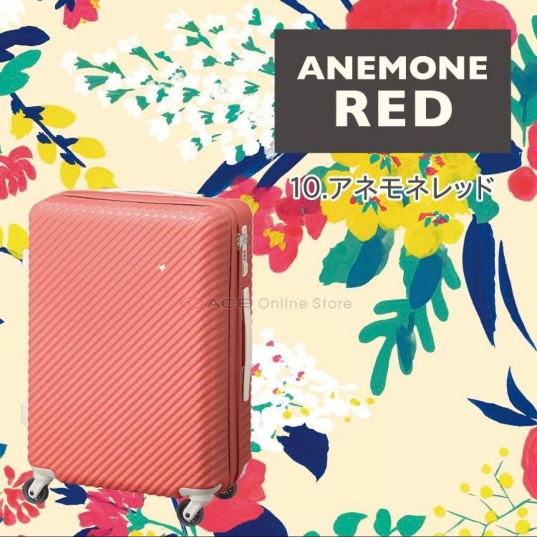 HaNTキャリーケース ストッパー付き TSAロック 47L カバー付き