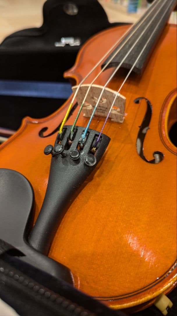 EASTMAN SVL80 分数1/10バイオリンセット イーストマン　欠品なし