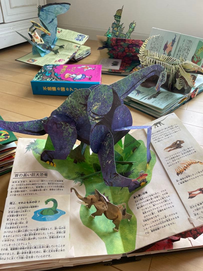 ロバート・サブダ 仕掛け絵本 13冊セット 子どもの感性を伸ばす絵本