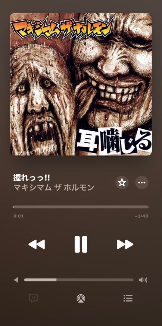 まとめ売り　マキシマムザホルモン　CD