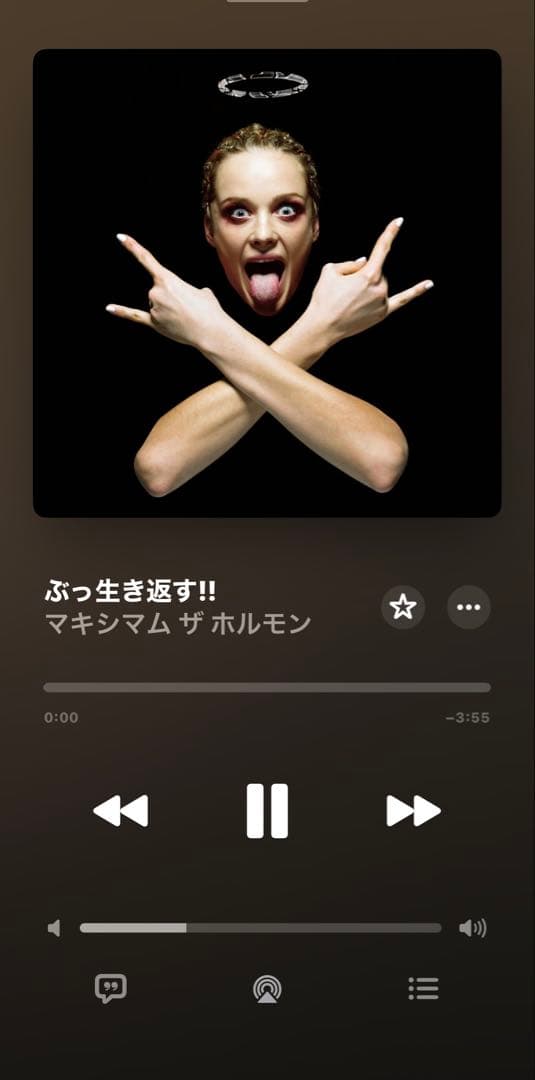 まとめ売り　マキシマムザホルモン　CD