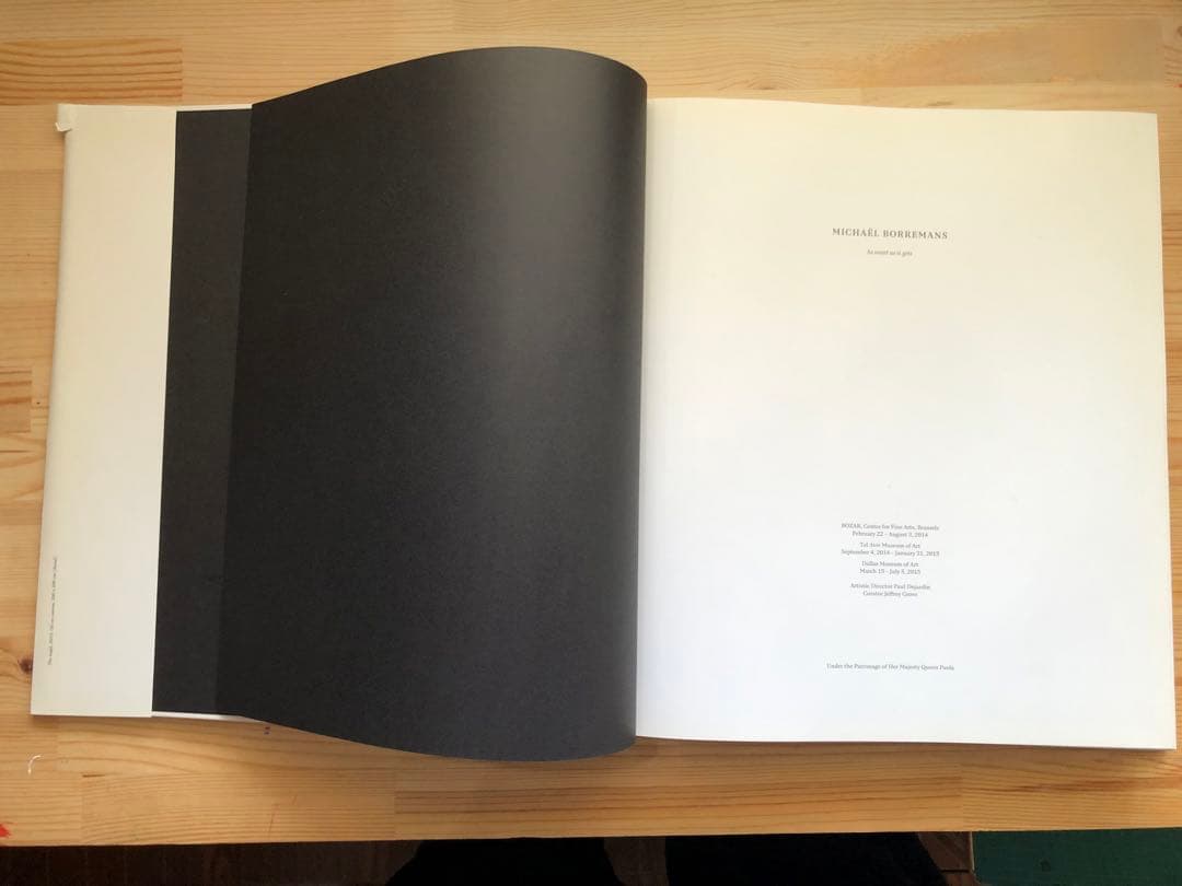【希少】ミヒャエル・ボレマンス 画集　Michael Borremans