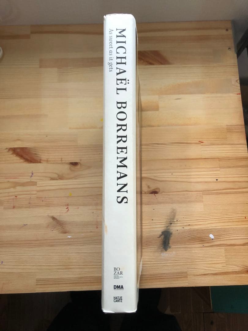 【希少】ミヒャエル・ボレマンス 画集　Michael Borremans