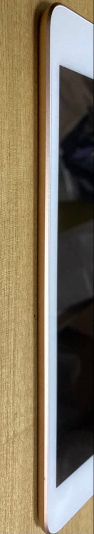 Apple iPad mini (第5世代) Wi-Fi 256GB ゴールド