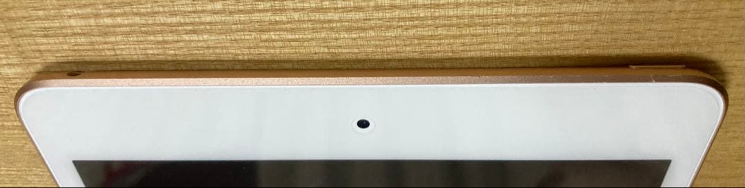 Apple iPad mini (第5世代) Wi-Fi 256GB ゴールド