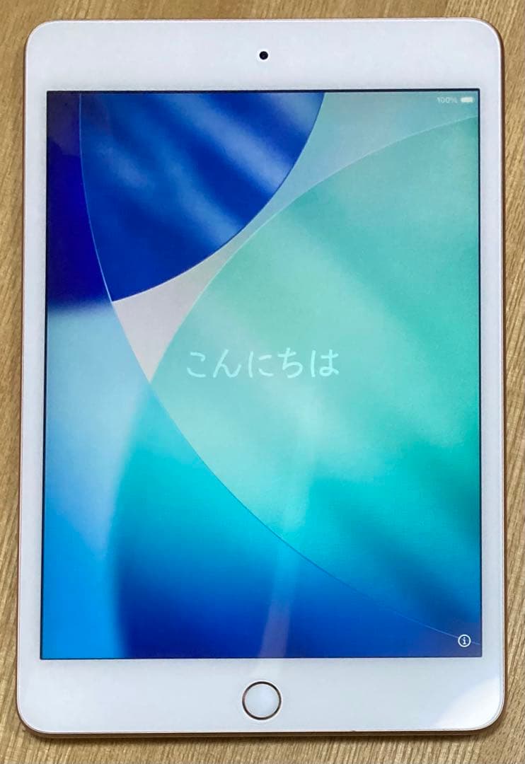 Apple iPad mini (第5世代) Wi-Fi 256GB ゴールド