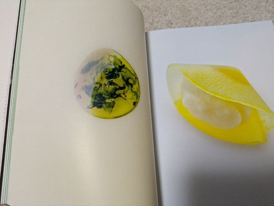 フランス語版　 　ASTRANCE LIVRE DE CUISINE