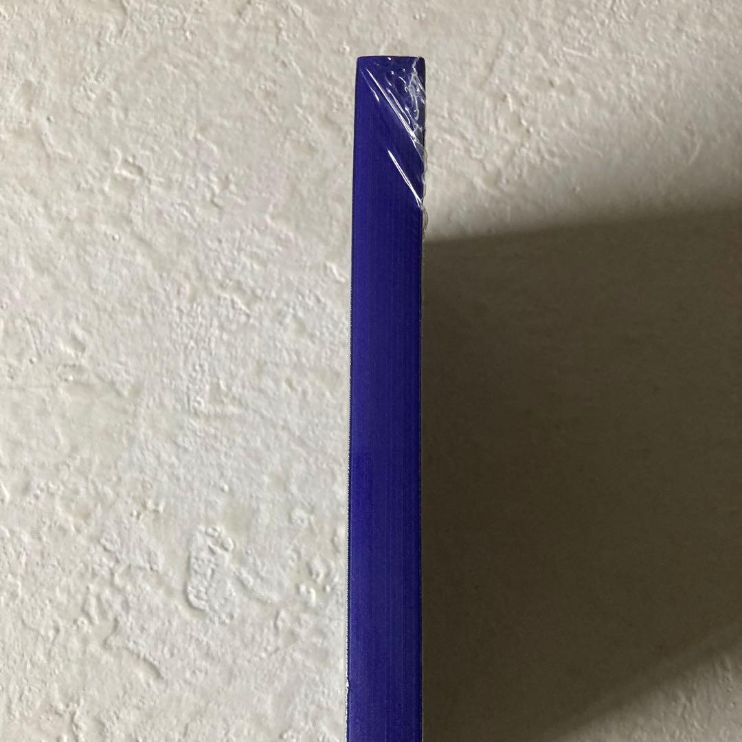 洋書　Boro The Art of Necessity