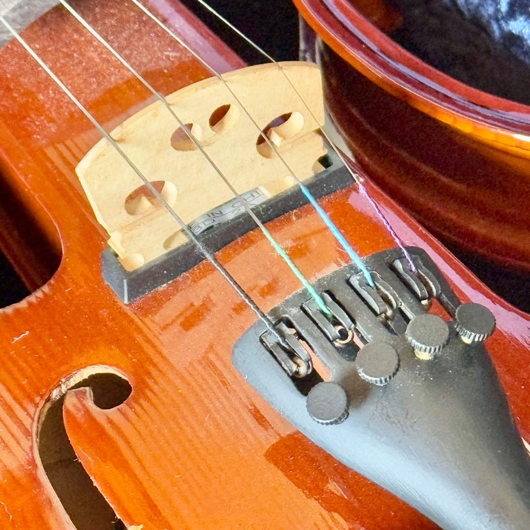 Hallstatt「CV-210E」エレキバイオリン