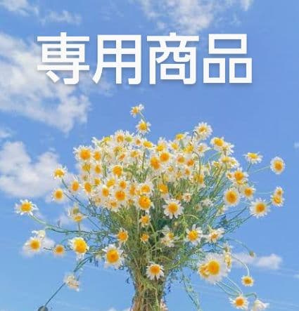 フラワーオブライフ۞8869商品