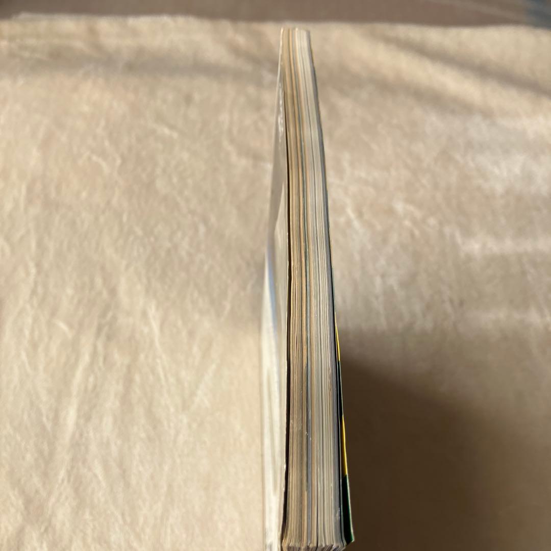 ビデオSALON ビデオサロン 1993年1月号 松嶋菜々子